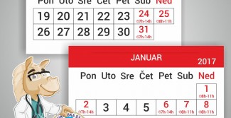 Radno vreme tokom nadolazećih praznika