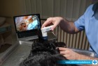 Video otoskopija