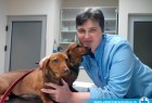 Naši veterinari u akciji Naši veterinari u akciji