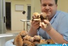 Naši veterinari u akciji Naši veterinari u akciji