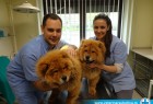Naši veterinari u akciji Naši veterinari u akciji