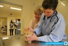 Naši veterinari u akciji Naši veterinari u akciji