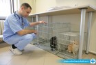 Naši veterinari u akciji Naši veterinari u akciji