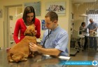 Naši veterinari u akciji Naši veterinari u akciji