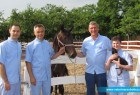 Naši veterinari u akciji Naši veterinari u akciji